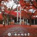 呑山観音寺の紅葉。のみやまさんで親しまれる、本堂への並木道の紅葉が美しい