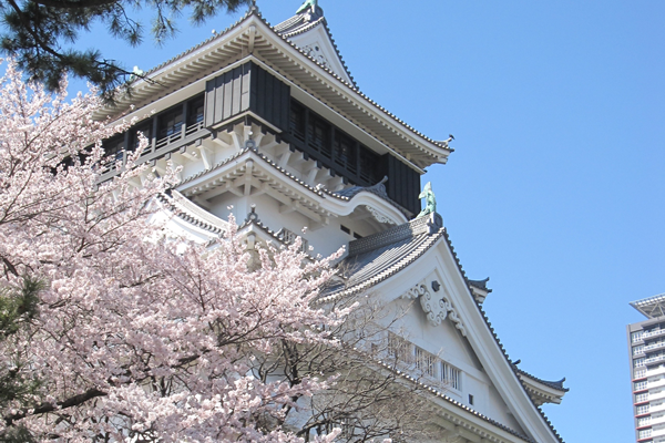 小倉城桜まつり