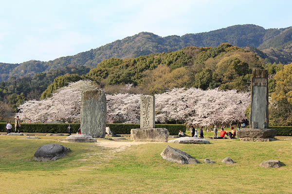 大宰府政庁跡