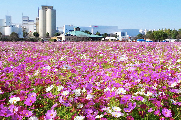 キリンビール福岡工場