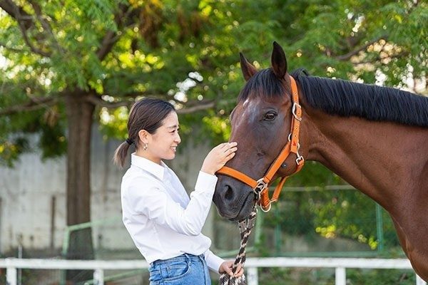 乗馬クラブクレイン福岡