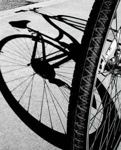 通勤や仕事で自転車を使うなら加入しておきたい自転車保険。義務化する自治体も増加 | Money Lifehack