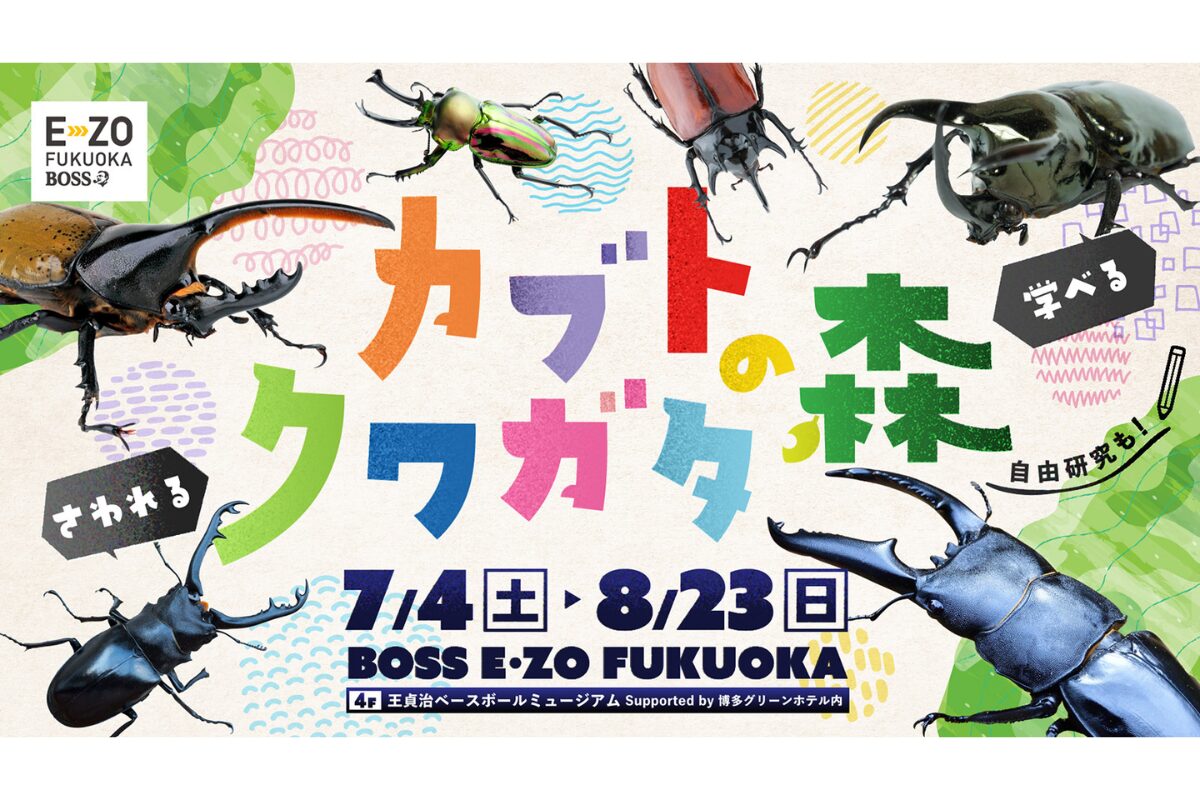 カブト・クワガタの森2026がBOSS E・ZO FUKUOKAに登場！7/4～8/23開催