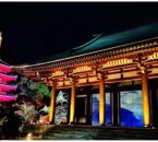 東長寺の五重塔と本堂が夜間ライトアップされた過去開催時の風景