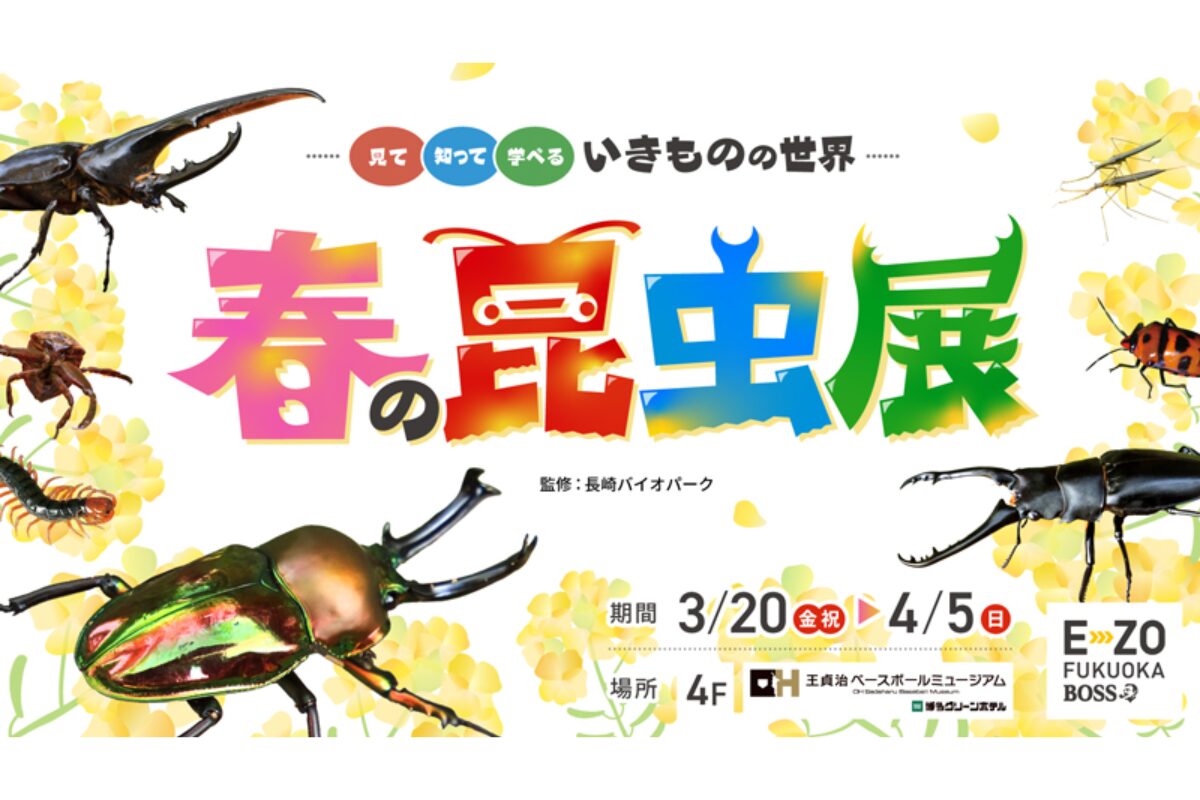BOSS E・ZO FUKUOKA「春の昆虫展」開催！珍しい昆虫とふれあえる体験