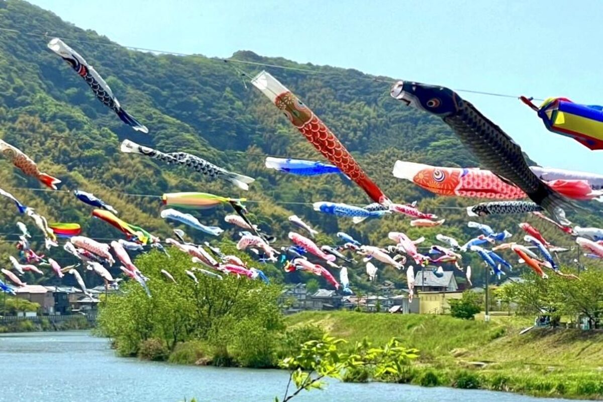 koinoborimatsuri2026-2.jpg
