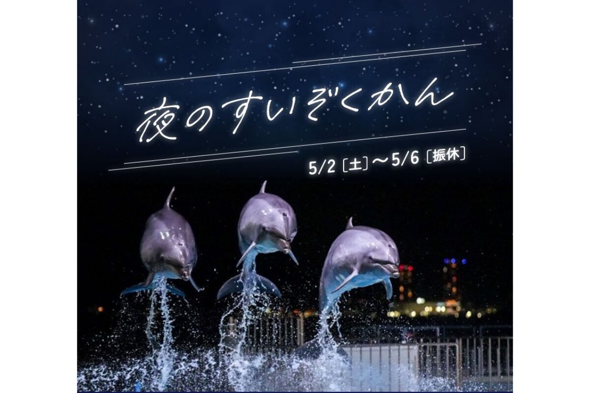 GWイベント】夜のすいぞくかん2026｜マリンワールド海の中道で夜間営業