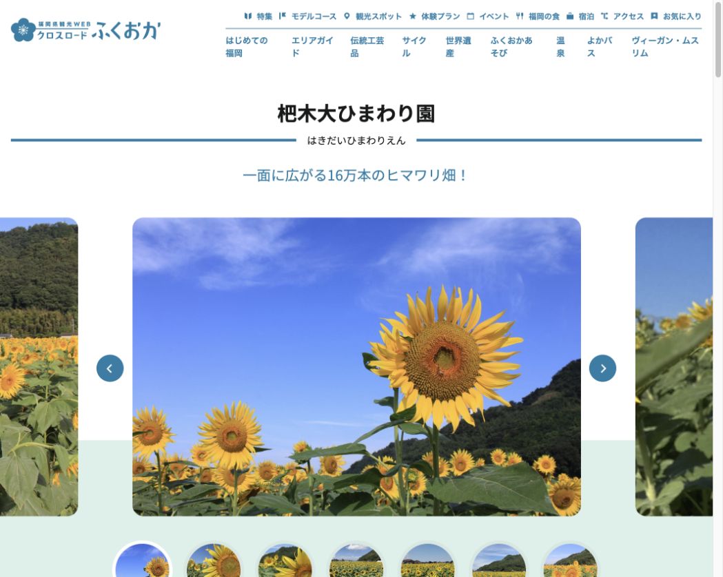 道の駅原鶴前に広がる杷木大ひまわり園を掲載した福岡県観光公式サイト画面
