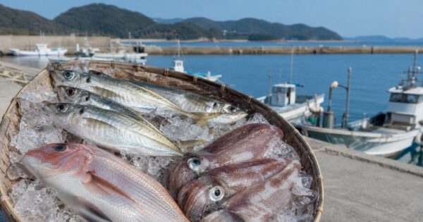 Kanesaki Fishing Port Seafood Guide: Buy Fresh Fish in Munakata