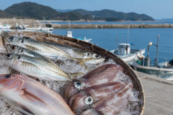 鐘崎漁港をイメージした港と新鮮なアジ、イカ、タイ