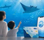 水族館の水槽とデジタル・カード型年間パスポートを表現したイラスト