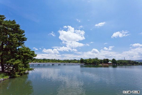 青空の下に大濠公園の池と島を結ぶ橋が広がる水辺の景色