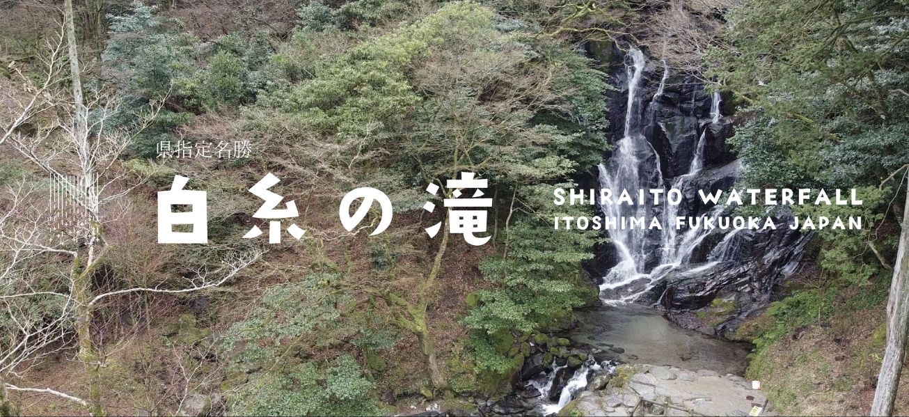 木々に囲まれた岩肌を流れ落ちる糸島の白糸の滝