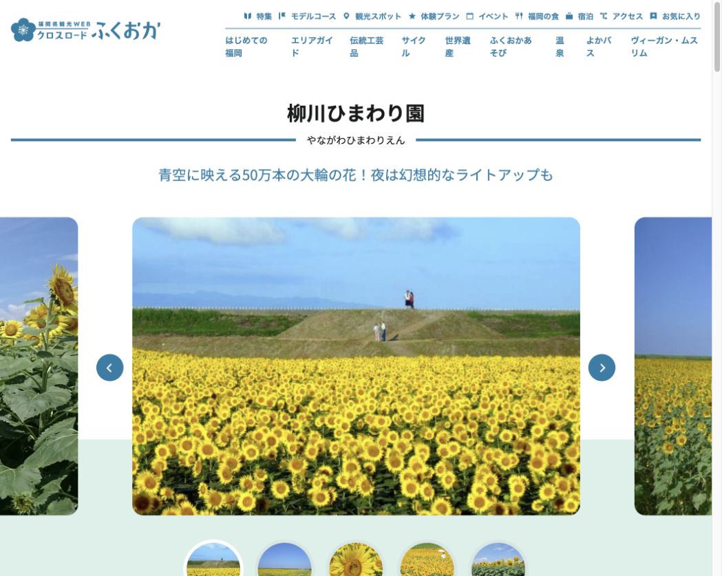 一面に咲く柳川ひまわり園を掲載した福岡県観光公式サイト画面