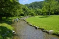 大野城いこいの森 水辺公園の浅いせせらぎと芝生で家族が水遊びをする様子