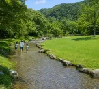 大野城いこいの森 水辺公園の浅いせせらぎと芝生で家族が水遊びをする様子