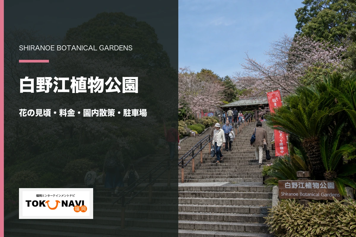 白野江植物公園の入口と花の見頃・料金・園内散策・駐車場ガイド