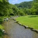 大野城いこいの森 水辺公園の浅いせせらぎと芝生で家族が水遊びをする様子